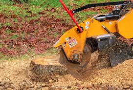 Best Tree Mulching  in Brownsville, OR